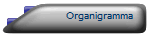 Organigramma